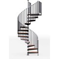 Ss Industries Holding Global Industrial„¢ Reroute 42"H Platform Rail Spiral Stair Kit, 60"Dia, 11-3/4'H, 9 Treads EC60P09A103
